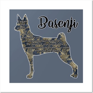 Basenji Posters and Art